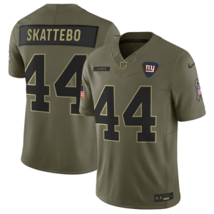 Men's New York Giants #44 Cam Skattebo Olive 2025 F.U.S.E. Salute to Service Limited  Jersey