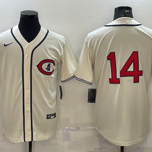 Men's Chicago Cubs #14 Ernie Banks 2022 Cream Field Of Dreams Jersey