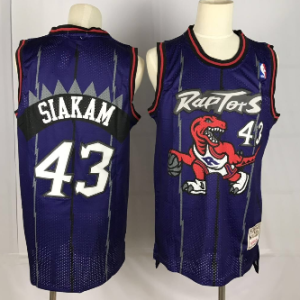 NBA Raptors 43 Pascal Siakam Purple Hardwood Classics Men Jersey