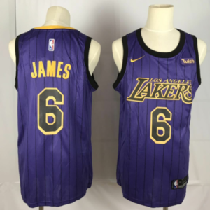 NBA Los Angeles Lakers #6 LeBron James Purple City Edition Nike Men Jersey