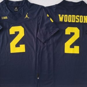 Michigan Wolverines Blue #2 WOODSON jersey