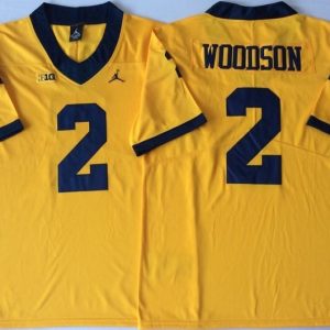 Michigan Wolverines YELLOW #2 WOODSON jersey