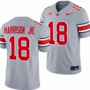 NCAA CUSTOM Ohio State Buckeyes GRAY #18 jersey