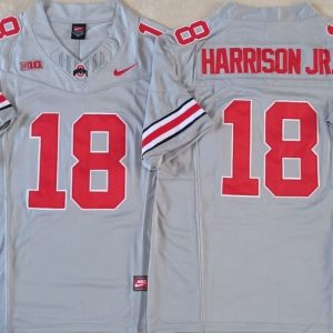 Ohio State Buckeyes GRAY #18 HARRISON JR jersey