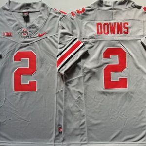 Ohio State Buckeyes GRAY #2 DOWNS jersey