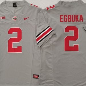 Ohio State Buckeyes GRAY #2 EGBUKA jersey