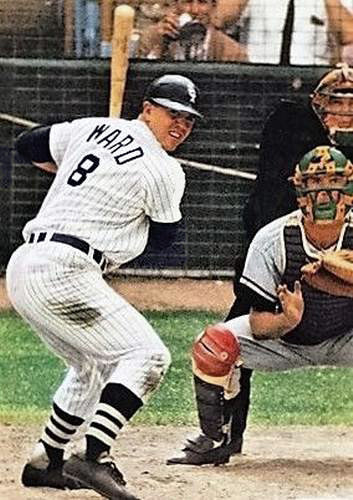 PETE WARD Chicago White Sox 1968 Home Majestic Throwback Baseball Jersey - Image 4